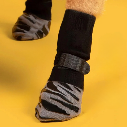 Chaussettes à motif pour chien