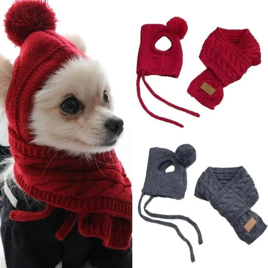 Bonnet Pour Chien avec Écharpe