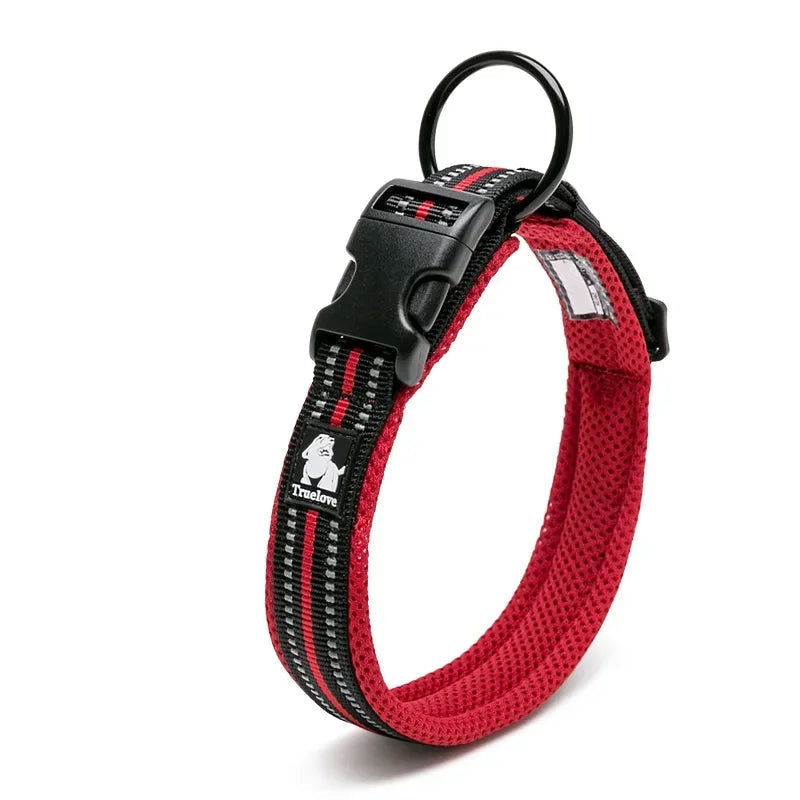 Collier réfléchissant pour chien