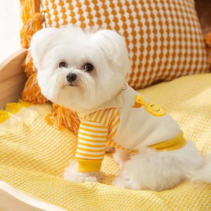 Pull à motif canard doux pour chien