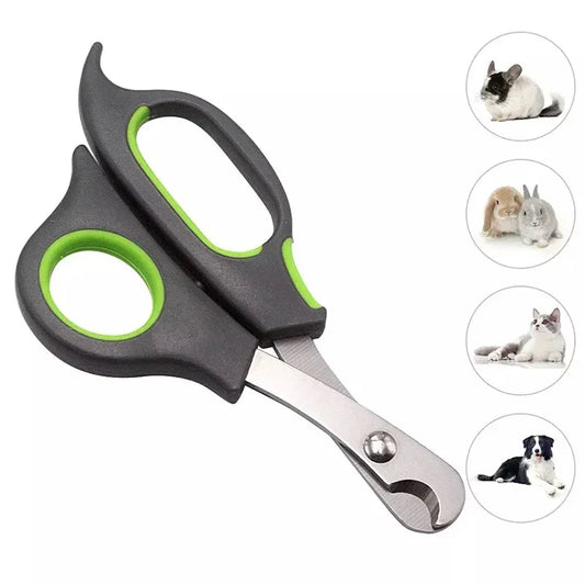 Couple Ongle Chien Petite Taille