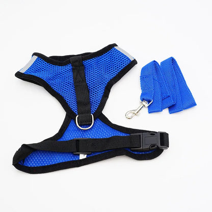 Harnais en maille pour chien