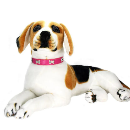 Collier en cuir coloré pour chien