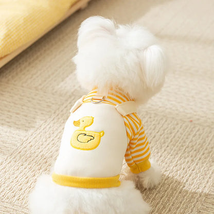 Pull à motif canard doux pour chien