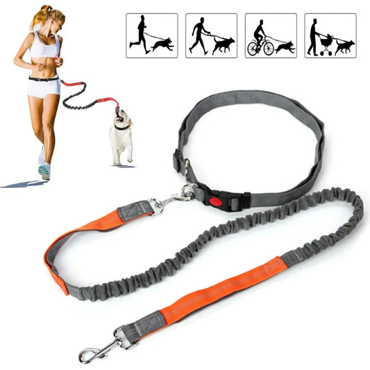 Laisse pour chien main libre