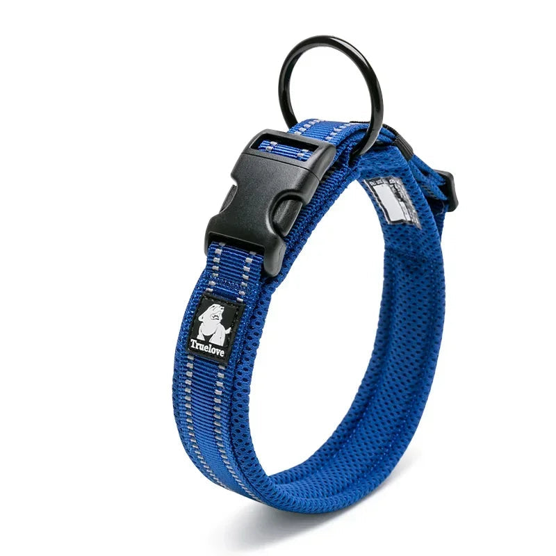 Collier réfléchissant pour chien