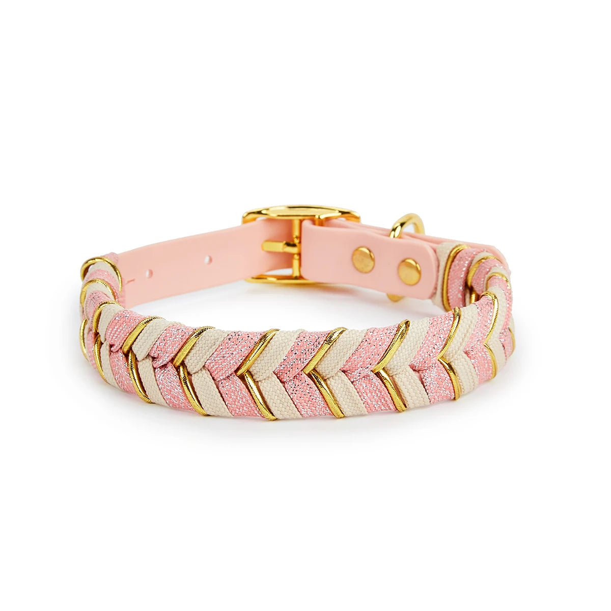 Collier Pour Chien en Cuir