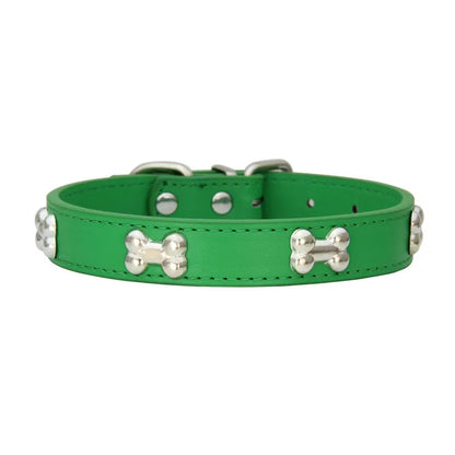 Collier en cuir coloré pour chien