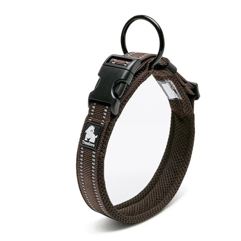 Collier réfléchissant pour chien
