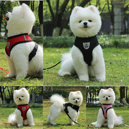 Harnais en maille pour chien