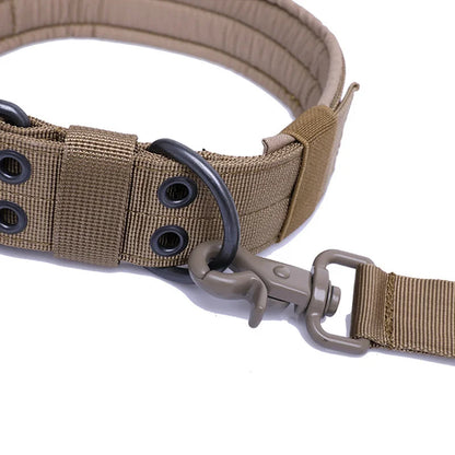 Collier pour chien réglable